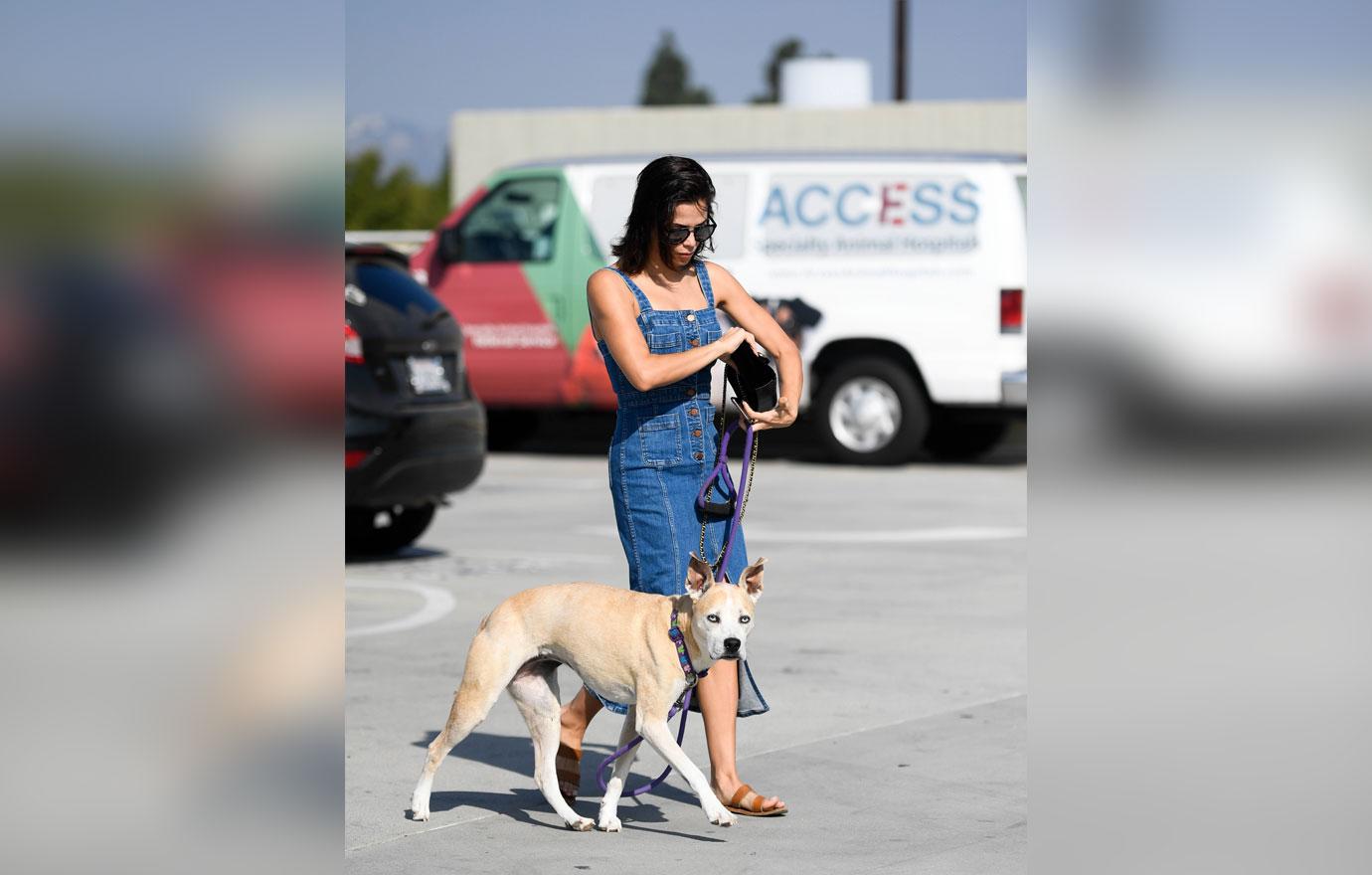 Jenna Dewan Takes Dog To The Vet