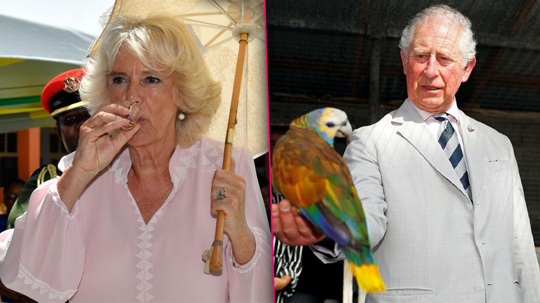 Prince Charles and Camilla Duchess of Cornwall Let Loose in the Caribbean