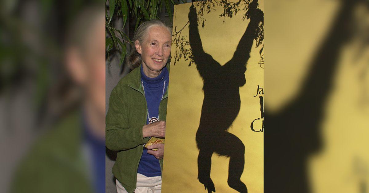 Photo of Jane Goodall