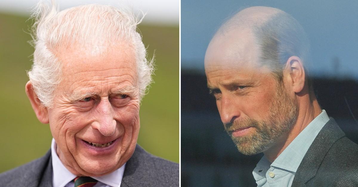Photo of King Charles and Prince William