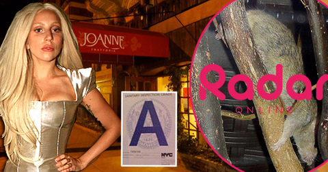 //lady gaga restaurant wide coleman rayner splash