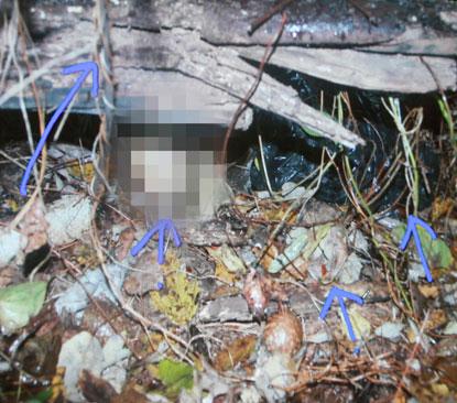 PHOTOS: Graphic Crime Scene Pictures Introduced Into Evidence