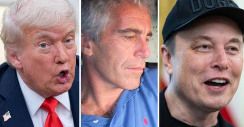 donald trump secret epstein elon musk pp