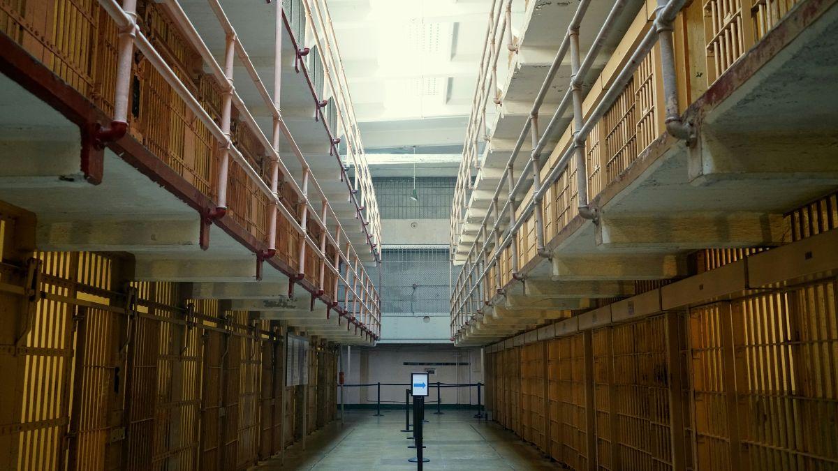 Former inmates claimed prisoners in Putin's detention sites survived on tiny food portions and were sometimes attacked by vicious dogs.