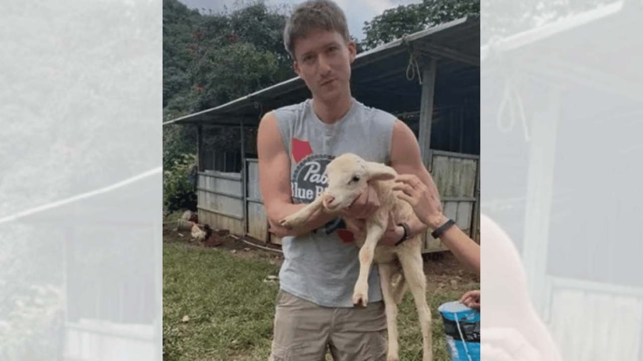 Wilkin was found with a single gunshot to the back of the head.