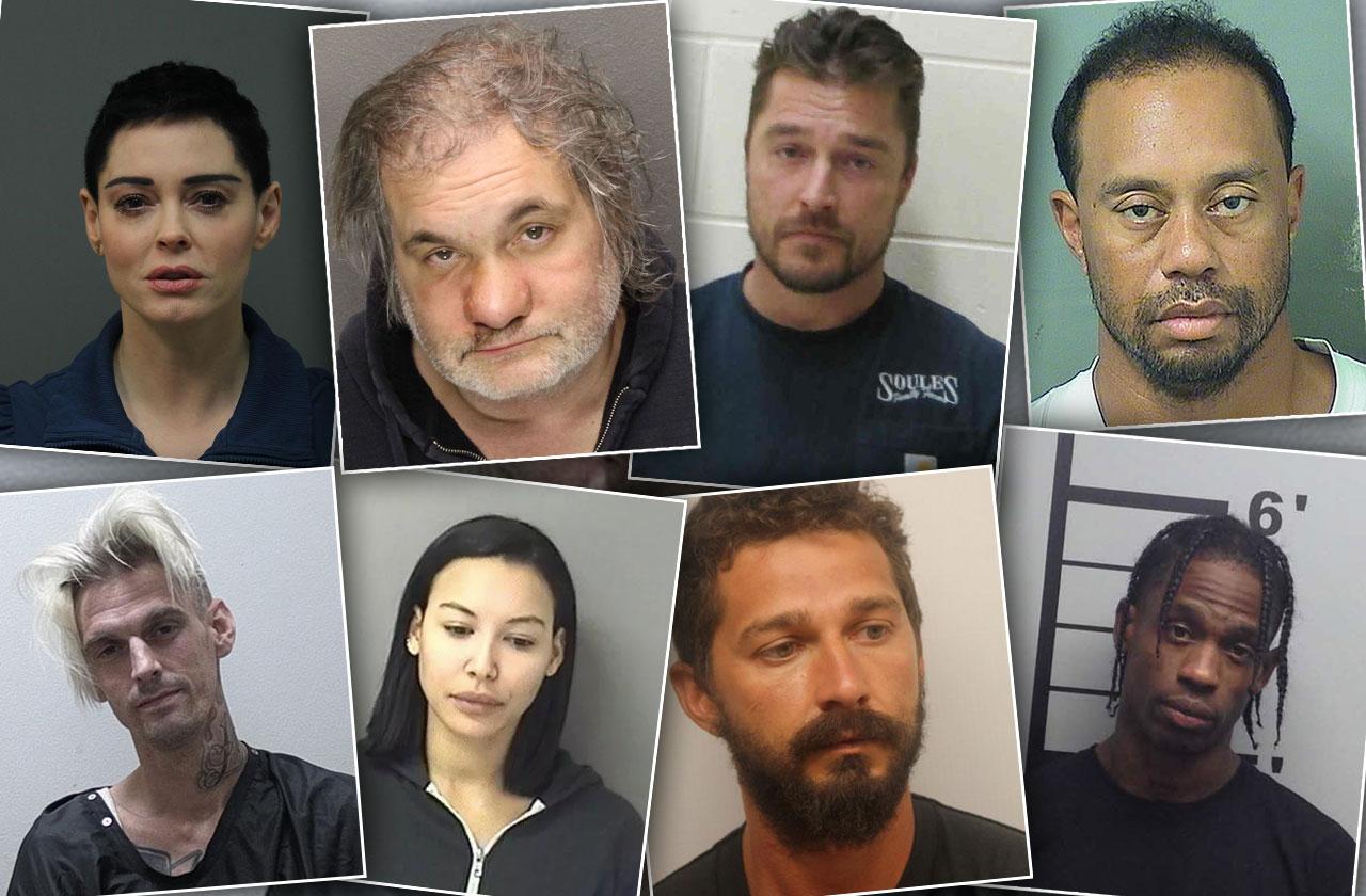 Celebrities Who Were Arrested In Jail In 2017 Celebrities Who Were Arrested In Jail In 2017