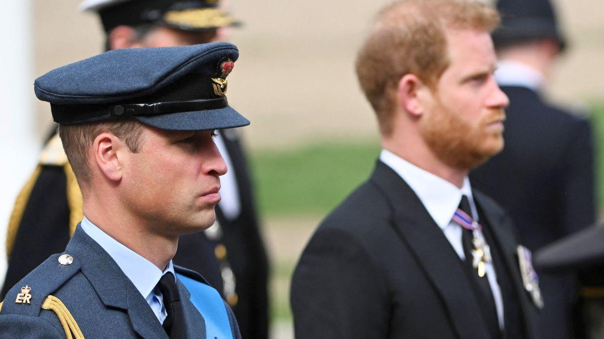 Photo of Princes William and Harry
