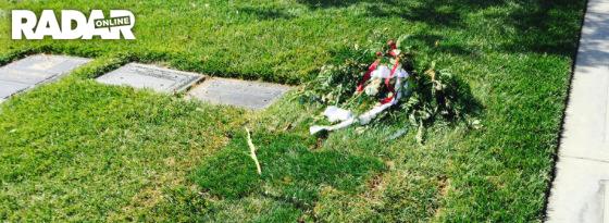 Dick Van Patten Unmarked Grave Photos