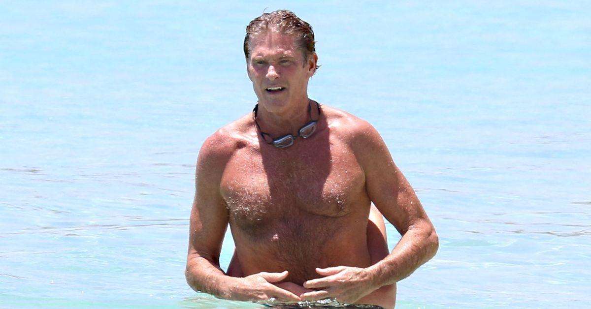 david hasselhoff