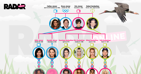 Infographic of Kardashian Family Tree, details in article