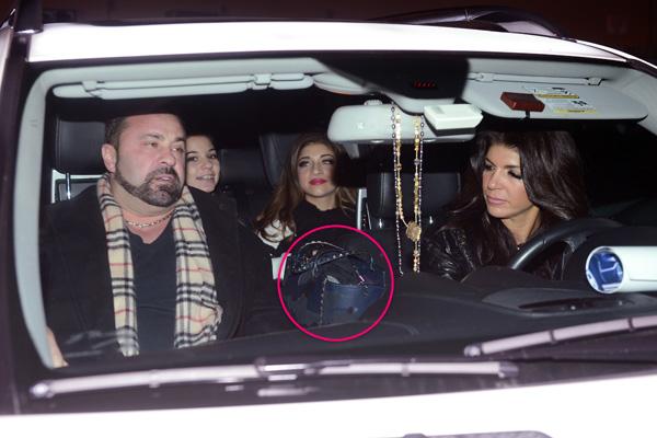 teresa giudice valentino bag