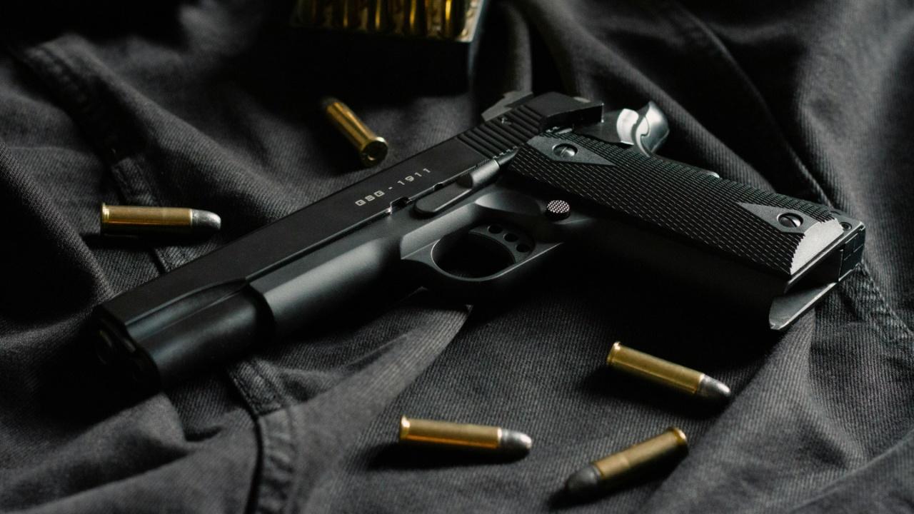 Gun