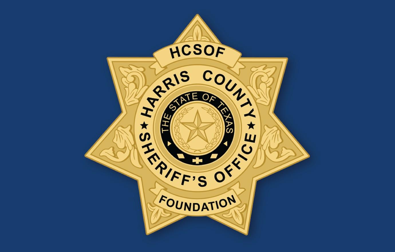 gen infohcso foundation logox