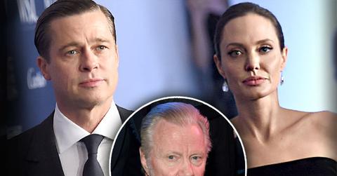 angelina jolie dad divorce details
