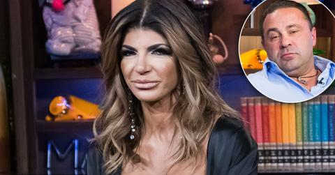 rhonj teresa giudice spinoff reality show single mom life ditches husband joe deportation drama