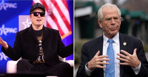 Split photo of Elon Musk, Peter Navarro