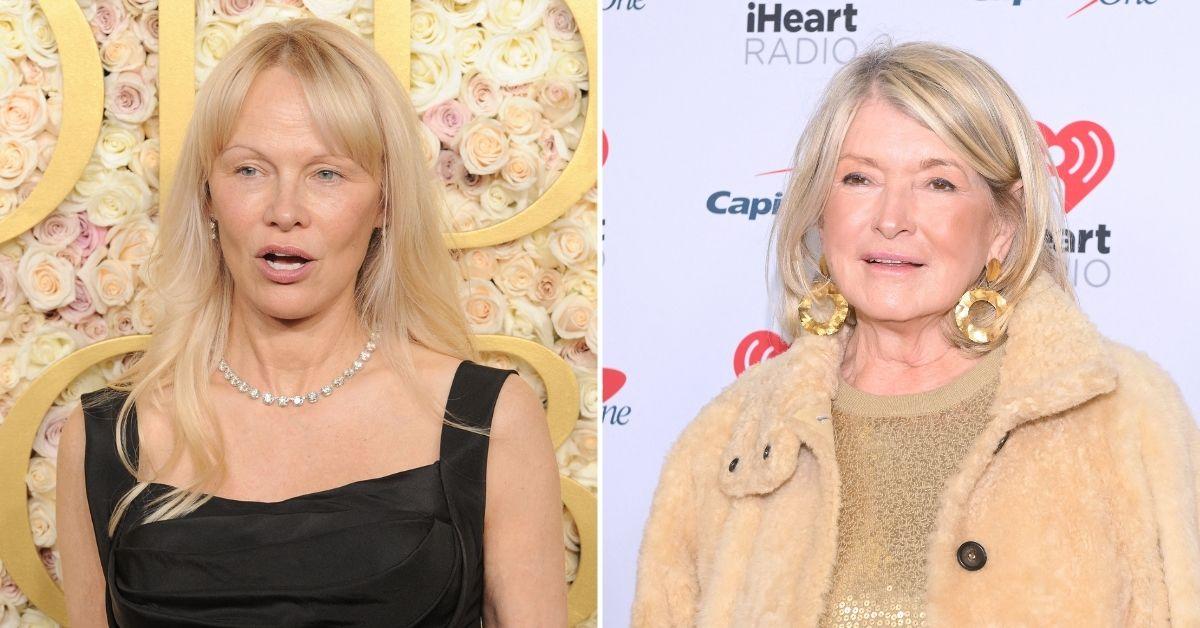 hollywood brutal catfight barbra streisand martha stewart