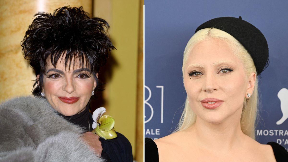 Liza Minnelli claimed in her memoir 'Kids, Wait Till You Hear This!' Lady Gaga and the Academy made her appear in a wheelchair while presenting Best Picture at the 2022 Oscars.