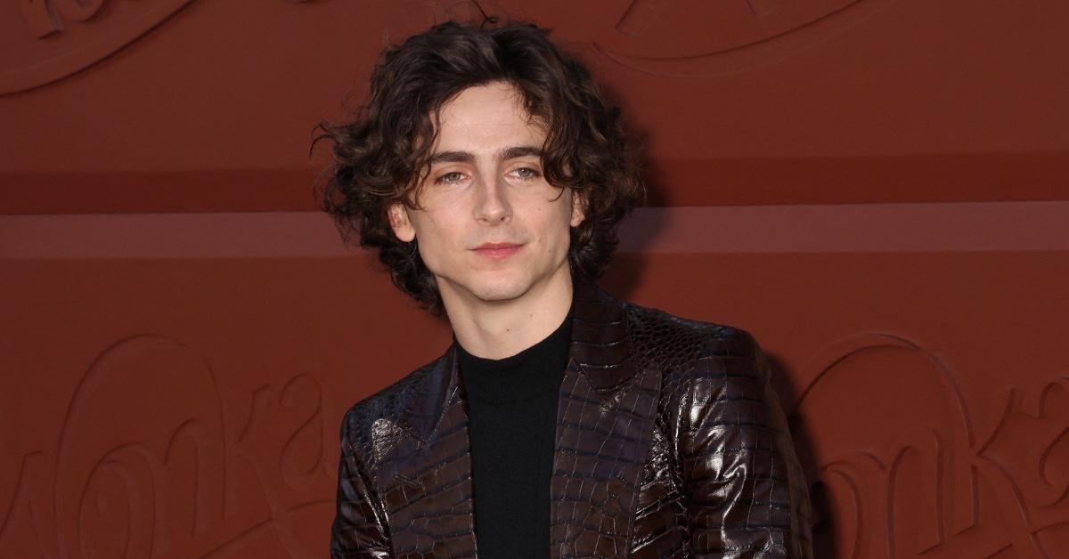 kylie jenner timothee chalamet  golden globes