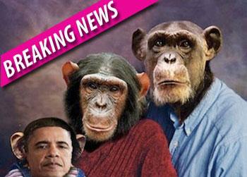 //finalpostpcnobamab