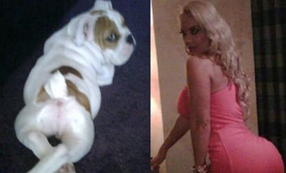 //coco_and_spartacus__thumb