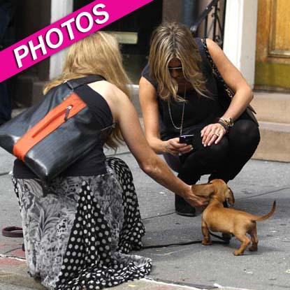 //jennifer aniston dachsund dog photos inf