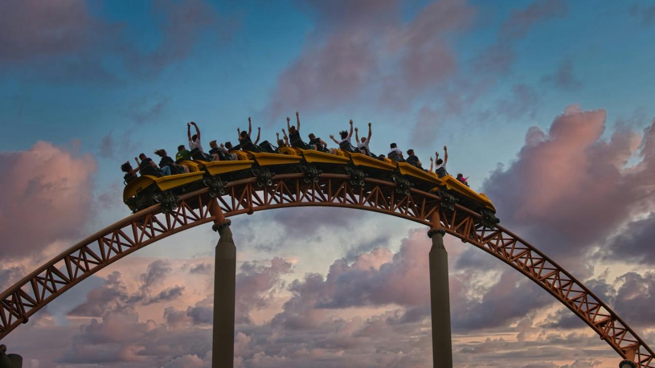 Several passengers were injured in the roller coaster incident.