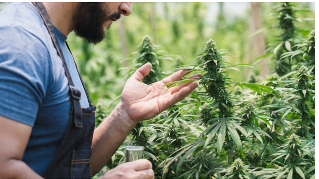 resultvalerie juliet valdez circle inset image templates x px