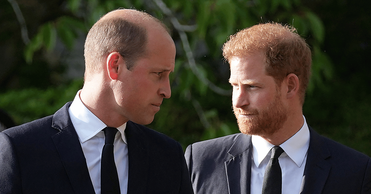 Photo of Prince William and Prince Harry 