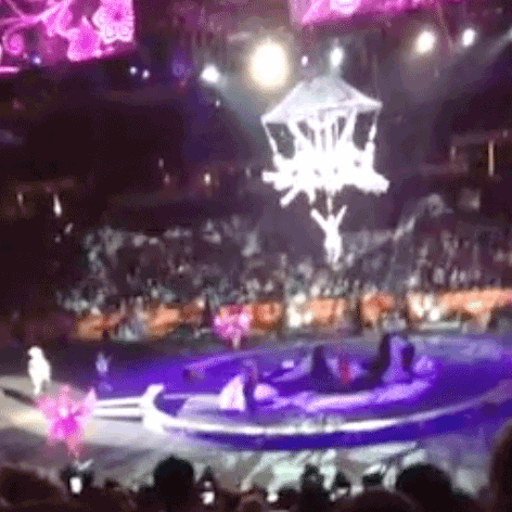 ringling brothers accident