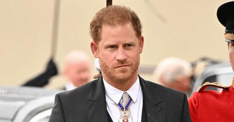 prince harry making plans for solo africa trip new netflix doc pp