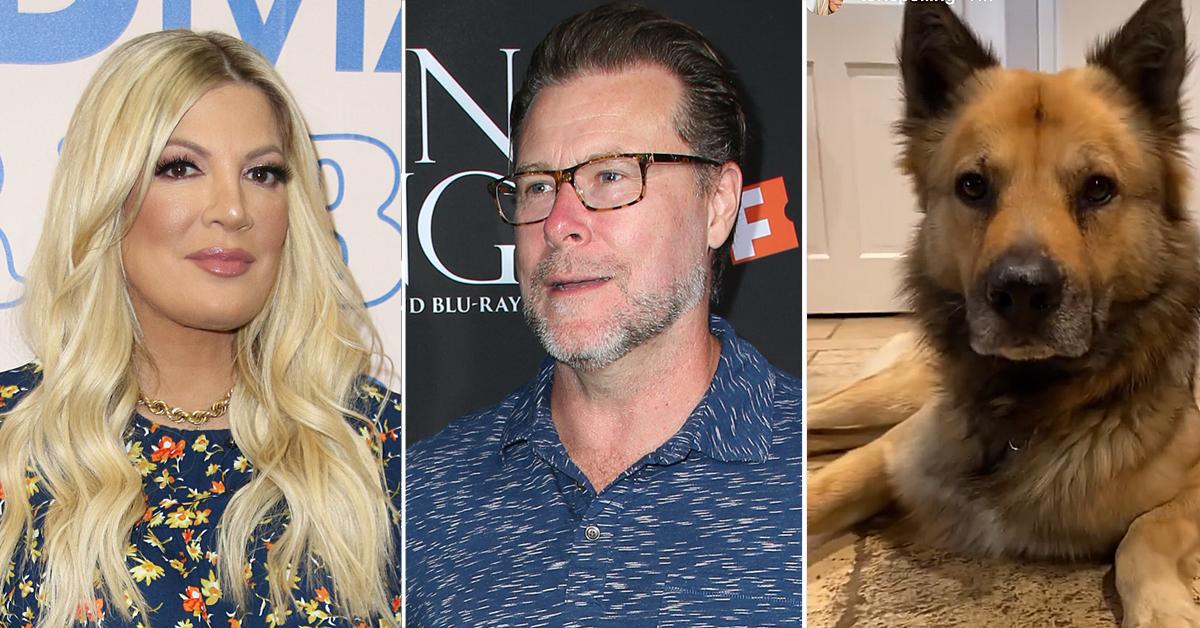 Tori Spelling Gets BrandNew Pooch As She Prepares To Divorce Dean