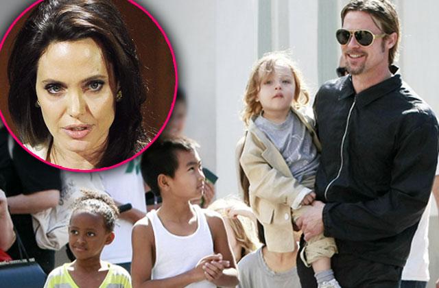 //brad pitt angelina jolie divorce joint custody kids pp