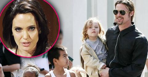 //brad pitt angelina jolie divorce joint custody kids pp