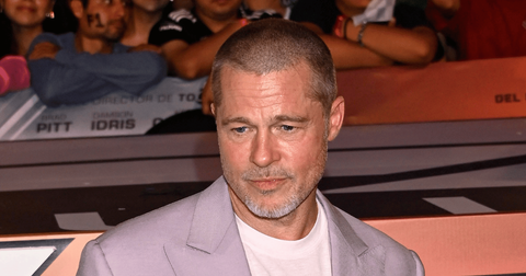 Brad Pitt Scores Big Win in French Winery Battle With Angelina Jolie