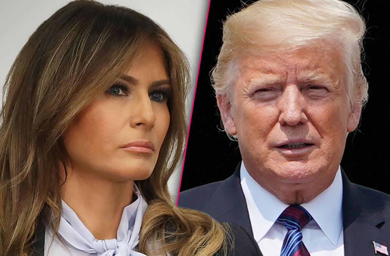 Melania Trump Seething Access Hollywood Scandal Interview