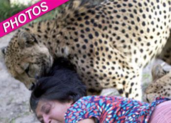 //violet mauled cheetahs south africa