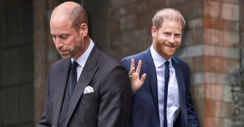 Photo of Prince William and Prince Harry
