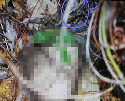 PHOTOS: Graphic Crime Scene Pictures Introduced Into Evidence