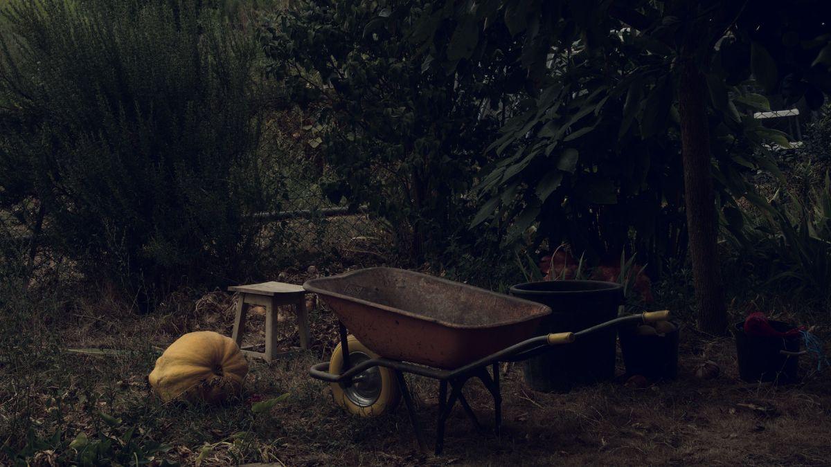 The woman's partner's mother discovered a blood-covered infant hand in the garden.