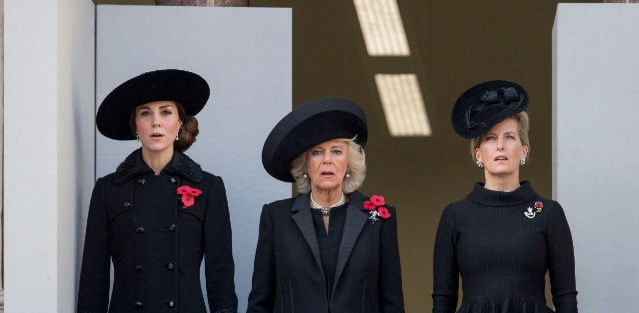 Queen Camilla's Dresser Banned Kate Middleton & Sophie Wessex From Wearing  Blue