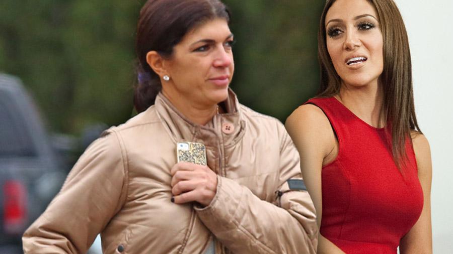 Teresa Giudice Slams Joe And Melissa Gorga In Secret Phone Call — Feud Continues Behind Bars 