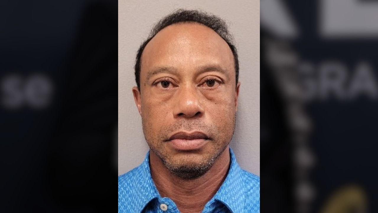 picture of Tiger Woods