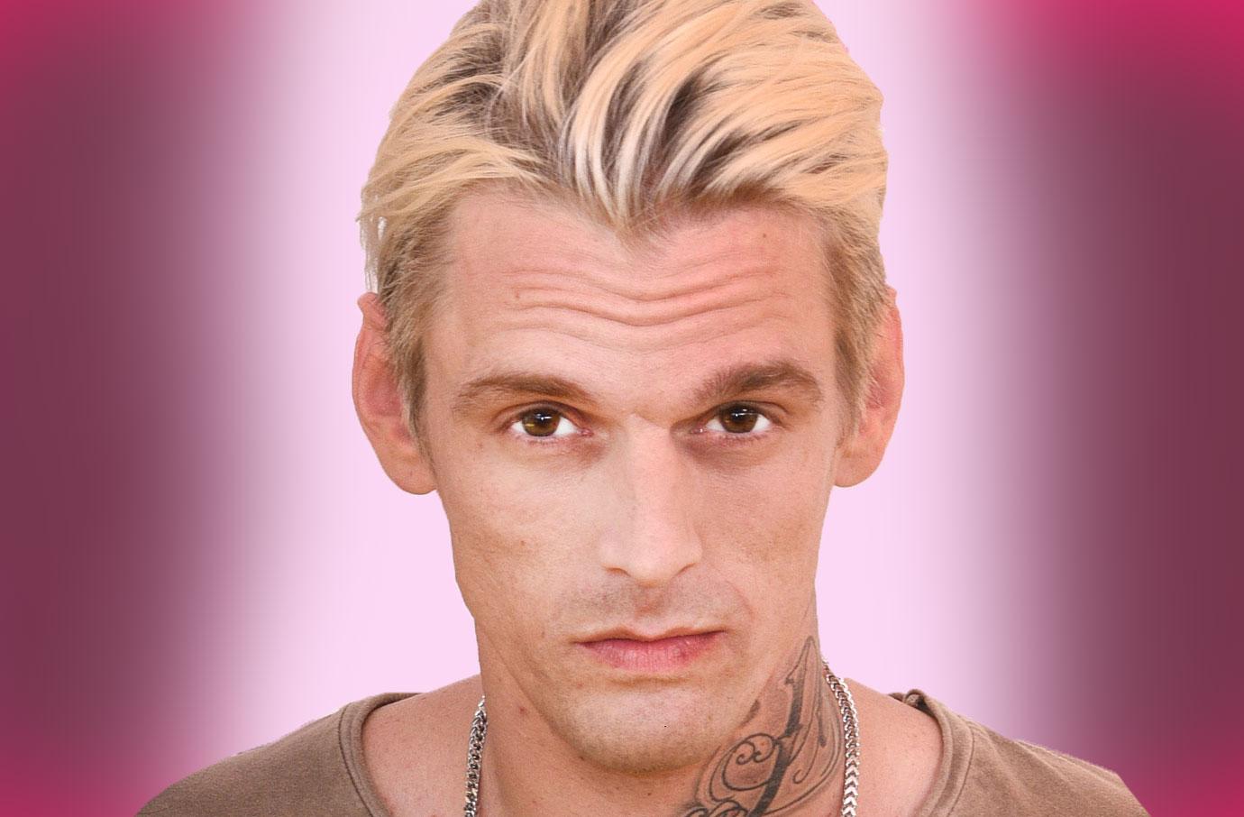 //aaron carter arrested for alleged dui and drug possession pp