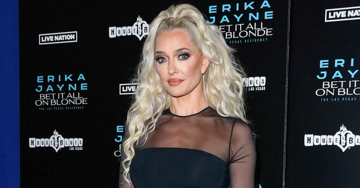 Fashion Designer Sues Erika Jayne and Secret Service for $18M
