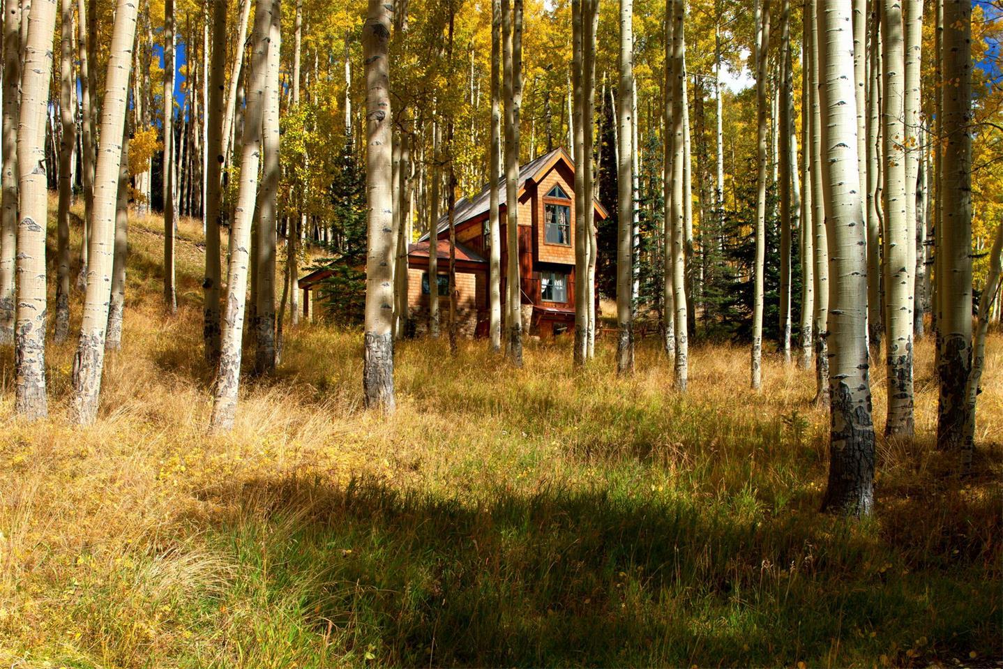 //tom cruise telluride mansion