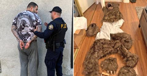 Three men and a bear suit.