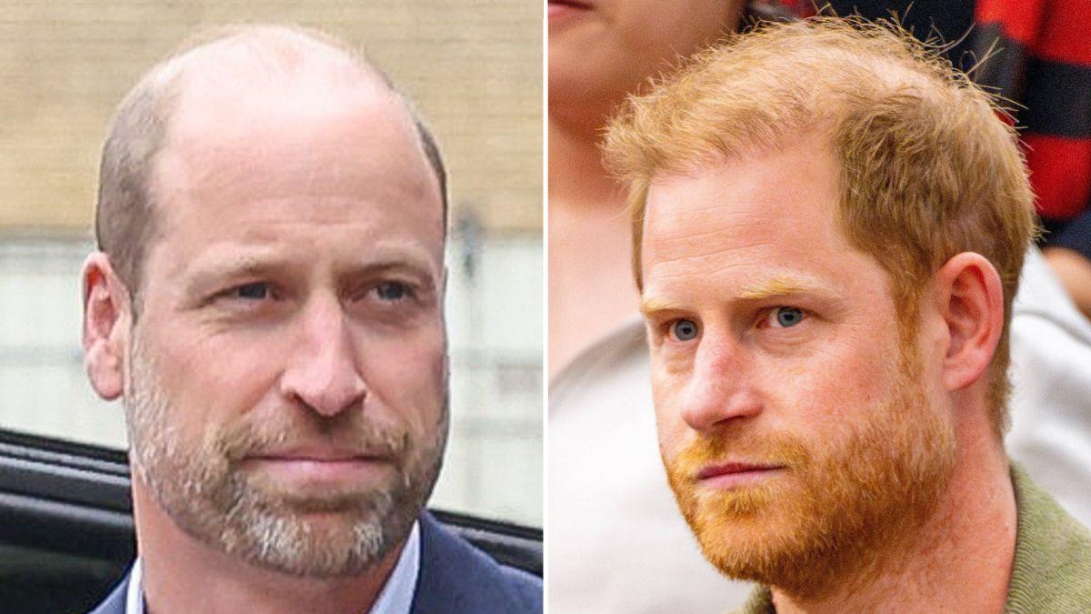 picture of Prince William and prince Harry