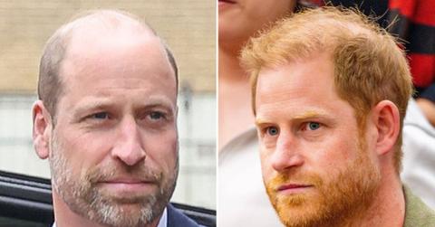 picture of Prince William and prince Harry