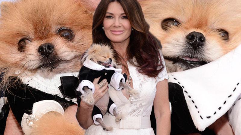 Lisa Vanderpump Pets Luncheon